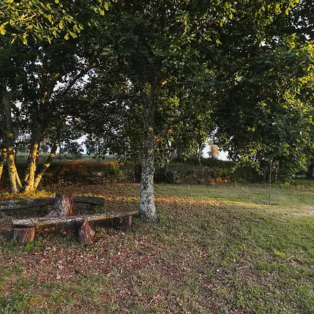 Manteiros Glamping Canas de Senhorim