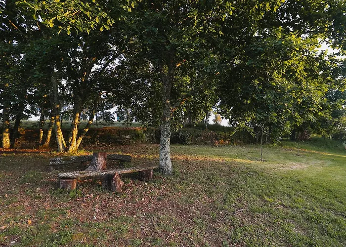 Manteiros Glamping Canas de Senhorim